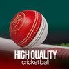 Mozi Sports® Leather Cricket Ball Senior Hand Stitched Match Quality