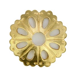 Tiazza 10Pcs Convex Round Brass Backplate Washers Classical Furniture Decoration Gasket Brass Hardware Accessories (Brass)