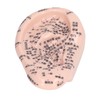 17cm Ear Point Probe 600pcs Auricular Patches Silicone Ear Model