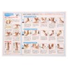 New-HALE 721952 X-TAPE Taping Tape, Ankle, Quick to Apply Series,
