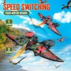jaming RC Plane,2.4Ghz Remote Control Dragon Airplane RTF Foam Planes