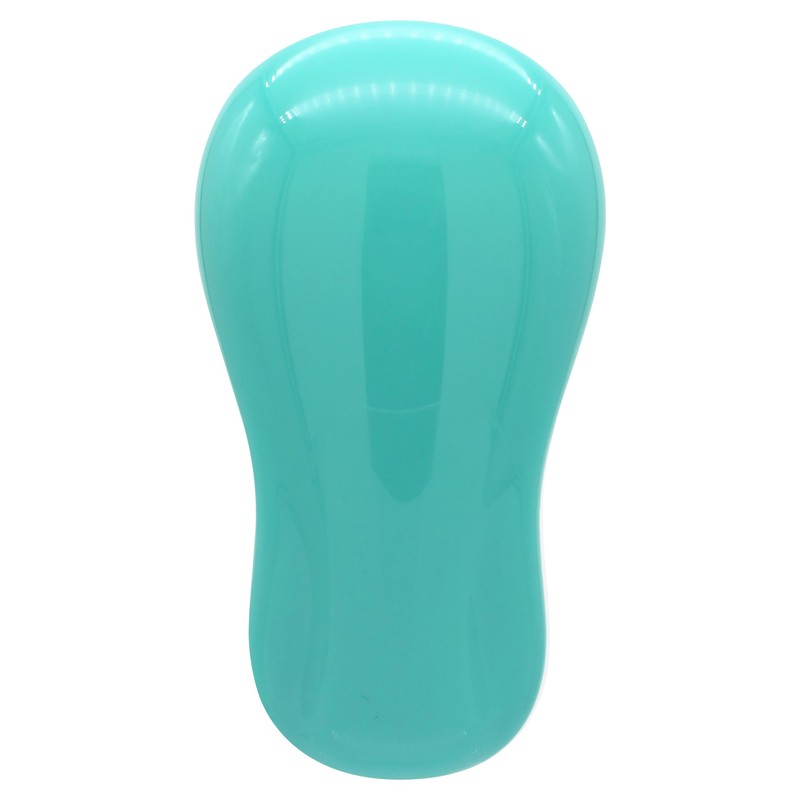 The Detangler Classic Entwirrende Haarbürste, Aqua
