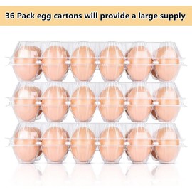 Plastic Egg Cartons Bulk, 36 Packs Empty Clear Plastic Egg Carton Holds Up to 12 Eggs, Reusable Chicken Egg Tray Holders for Family Pasture Chicken Farm, Business Market Display, Storage