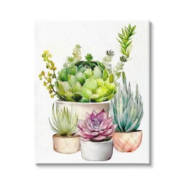 Stupell Industries Varied Succulent Garden Plants Canvas Wall Art, Design by Ziwei Li