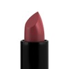 Palladio Herbal Matte Lipstick, Creamy and Full Coverage Long Lasting