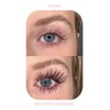 Lash Therapy Australia Everylash Serum Infused Mascara Black 6ml