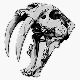 Leyland Designs Sabertooth Cat Skull Sticker Outdoor Rated Vinyl Sticker Decal for Windows, Bumpers, Laptops or Crafts 5"