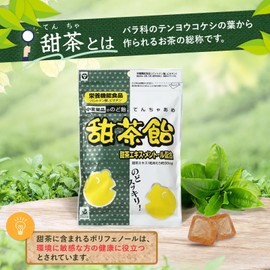 Chuoku Chemical Sweet Tea Candy (Motomaru Goten Design) 2.8 oz (80 g)