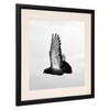 18x18 Solid Oak Wood Picture Frame with 14x14 Mat Opening