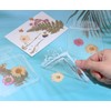 Dried Flower Bookmarks Penta Angel 20Pcs Bottle Shape Handmade DIY