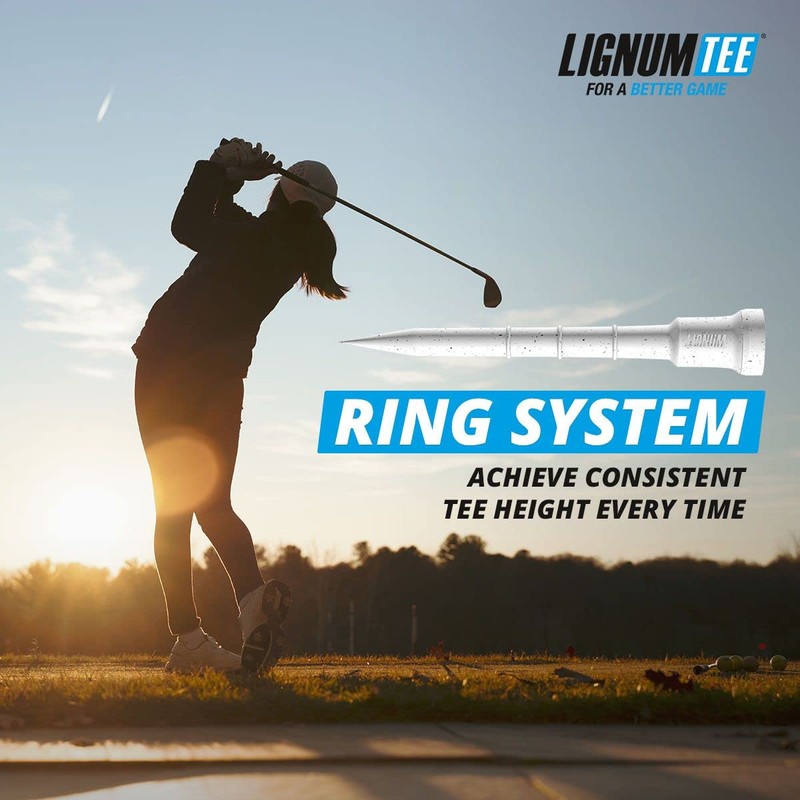 Lignum Unisex's Ring System T-Shirt (Pack of 12) -Blue, 72