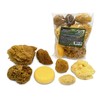 Natural Sea & Synthetic Sponges - Assorted Sizes 7pc Value