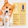 Metazoo Dog Protect Aceite de salmón para Perro, Omega 3,