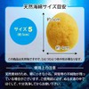 Toysfan Natural Seafan, Size 5, Approx. 2.0 inches (5 cm),