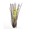 Hosley's 12.5" Botanical Diffuser Reeds - Green/Brown, Aromatherapy Essential Oils