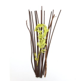 Hosley's 12.5" Botanical Diffuser Reeds - Green/Brown, Aromatherapy Essential Oils for Room Decor, for Women, Perfect for Weddings, Home Office, Meditation