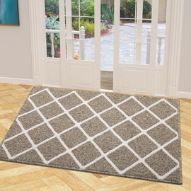 Finchitty Indoor Door Mat, Non-Slip Absorbent Resist Dirt Entrance Mat, Washable Mats for Entryway, Low-Profile Inside Floor Doormat, 40" x 32", Khaki