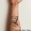 'Cheetah Portrait' Temporary Tattoo - Water Resistant, Skin-Safe, Non-Toxic Transfer