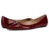 Sam Edelman Women's Nori Ballet Flat Cabernet Red 7.5 Medium