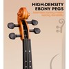 Violin 3/4 Full Size, Beginners Fiddle Kit with Case &