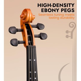 Violin 3/4 Full Size, Beginners Fiddle Kit with Case & Bow