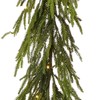 Regency International 60" LED/Battery/Timer Natural Touch Norfolk Pine Garland