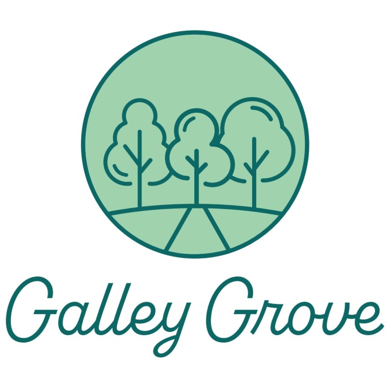 Galley Grove Sugar-Free Peppermint Breath Mints, Slender Round Package With