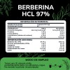 Quotidien | 500mg De Berberina Clorhidrato Con Canela De Ceylán,
