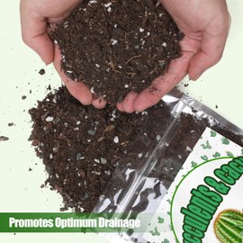Doter Cactus & Succulent Soil Mix 1qt, Chunky Well-Draining Soil for Indoor Plants - Spike & Bloom