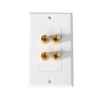 Bealuffe Speaker Wall Plate Speaker Wire Wall Plate, Audio Jack