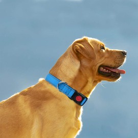 Taglory Reflective Dog Collar with Safety Locking Buckle, Adjustable Nylon Pet Collars for Large Dogs, Light Blue