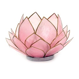 Contrast Light Pink Capiz Shell Opening Lotus Flower Bulb Tealight Candle Holder One Size