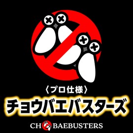 Kobayaga Hoi Hoi Earth Chobae Extermination Granules Fruit Fly Catcher Fruit Fly Countermeasures Fruit Fly Extermination Trap Small Fly Bait
