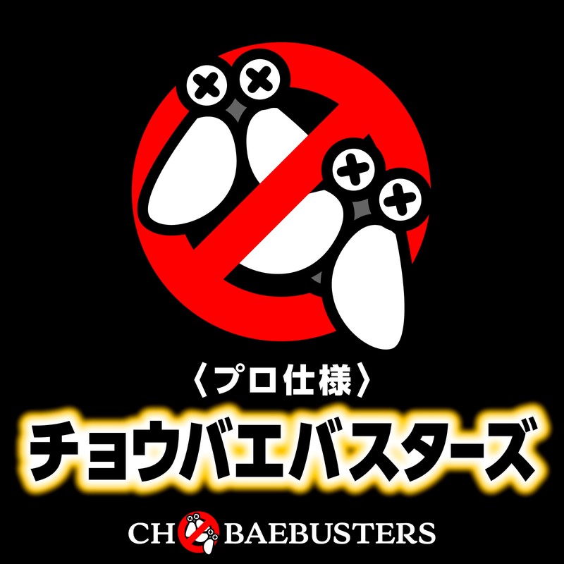 Kobayaga Hoi Hoi Earth Chobae Extermination Granules Fruit Fly Catcher