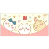 Sunstar Stationery Chiikawa 318676 X SNS Cute Guy Nagano Hachiware Rabbit