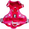 Hurtta Weekend Warrior Dog Harness, Ruby, 39-47 in