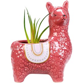 VanEnjoy 6 inch Cute Alpaca Succulent Pots, Animal Decorative Ceramic Planters for Indoor Gardens and Cacti, Colorful Office and Home Decor for Living Room,Kitchen, or Desk