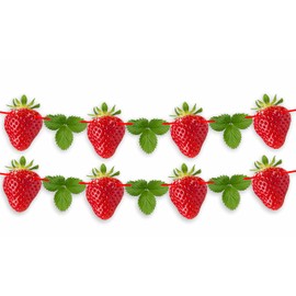 Seyal® Real Strawberry Garland Decoration