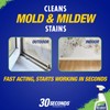 30 Seconds Mold & Mildew Stain Remover Spray- Indoor &