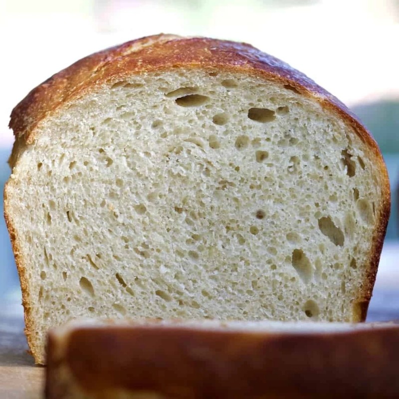 Heritage Sourdough Dehydrated Sourdough Starter 1849 Boudin Baker's San Francisco