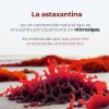 Astaxantina + Aceite De Coco Mct Oil | 90 Softgels