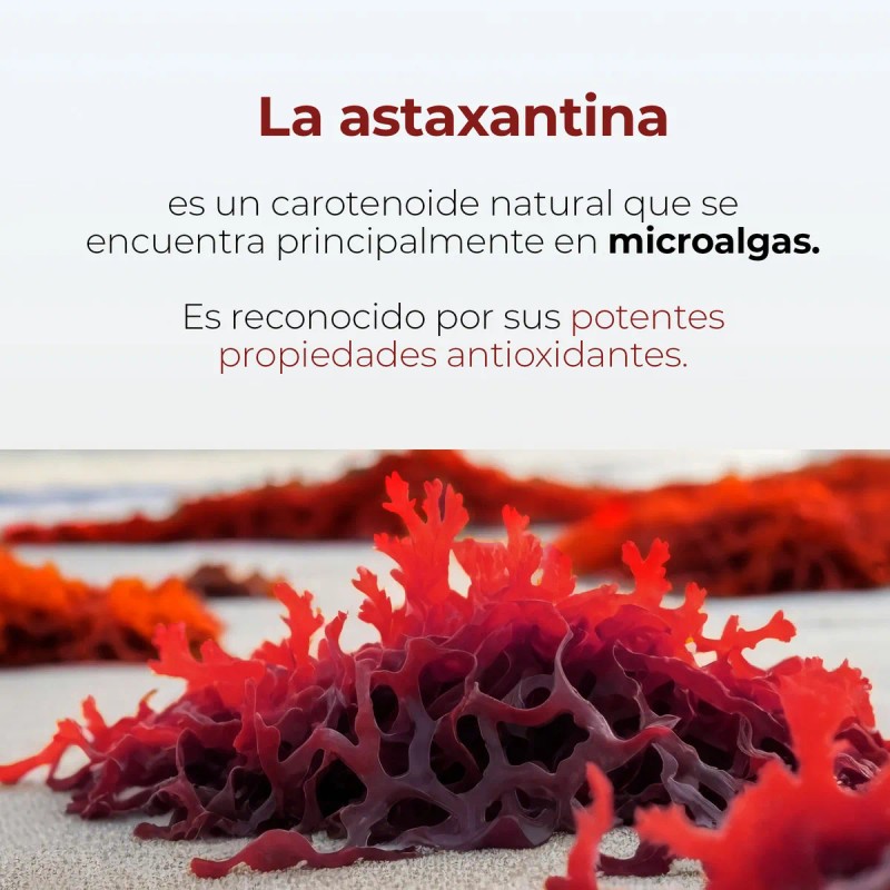 Astaxantina + Aceite De Coco Mct Oil | 90 Softgels