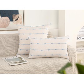 NUYECY Set of 2 Boho Throw Pillow Covers 24x24,Light Blue and White Neutral Couch Pillow Case with Tassel Fringe Decorative,Modern Accent Farmhouse Cushion Covers for Sofa Couch Bed Living Room