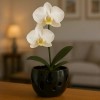 Maceta De Cerámica Esmalte Negro Para Orquídeas Pequeñas Calada Redonda
