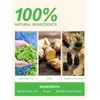 TeeLux Lemon Ginger Decaf Green Tea, Smooth Decaffeinated Green Tea