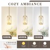 YSHomeStunn Gold Crystal Pendant Lights Kitchen Island 2-Pack Pendants Light