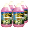 Quality Chemical Tropical Dream Deodorizer - A concentrated malodor counteractant