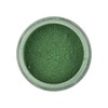 Rainbow Dust Edible Matt Powder Dust Colour 4g Holly Green