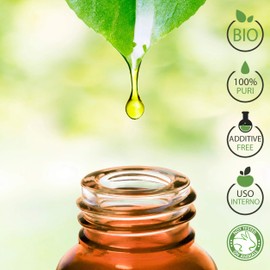 CajeputÖl Bio Ätherisches Öl 100% Reines 10 ml - Aromatherapie Kosmetik Therapeutische - Laborbio