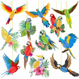 Kinteshun Tropical Birds Honeycomb Parrot Paper 3D Cutouts Hanging Ornaments Hawaiian Themed Luau Party Hanging Decorations for Rainforest Jungle Theme Birthday Home Decor Supplies(12pcs)